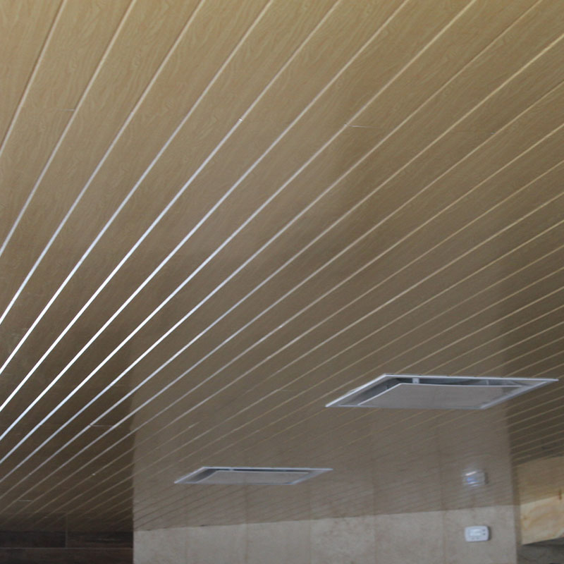 C-strip Ceiling